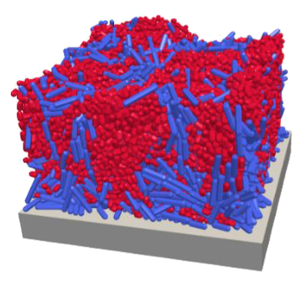 3D individual-based simulation.