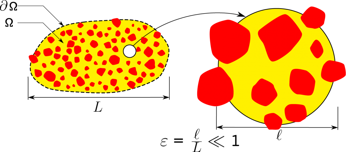 A homogeneous porous medium with two scales: the pore-scale, characterized by length l, and the macro-scale, characterized by length L.